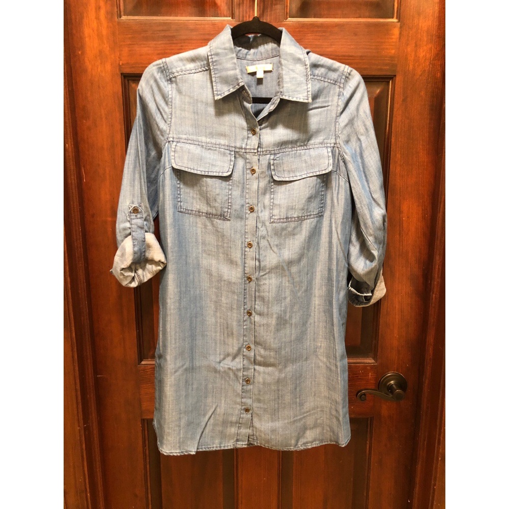 Skies Are Blue Button Down Dress